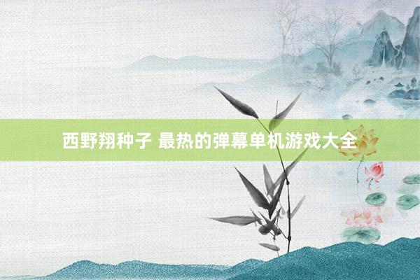 西野翔种子 最热的弹幕单机游戏大全