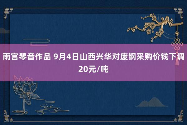 雨宫琴音作品 9月4日山西兴华对废钢采购价钱下调20元/吨