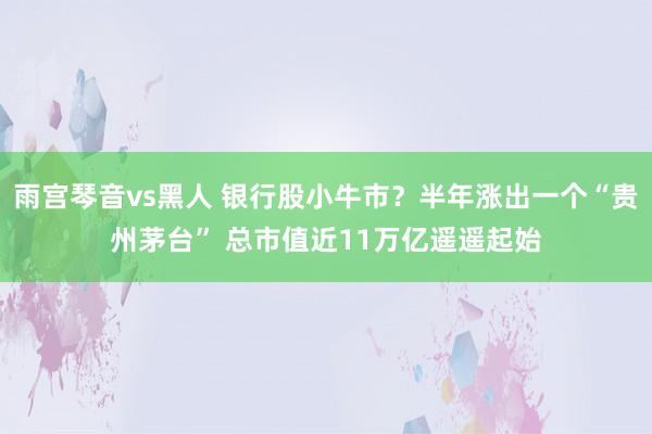 雨宫琴音vs黑人 银行股小牛市？半年涨出一个“贵州茅台” 总市值近11万亿遥遥起始