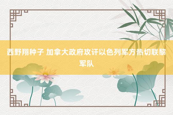 西野翔种子 加拿大政府攻讦以色列军方热切联黎军队