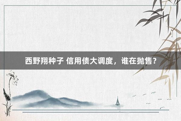 西野翔种子 信用债大调度，谁在抛售？