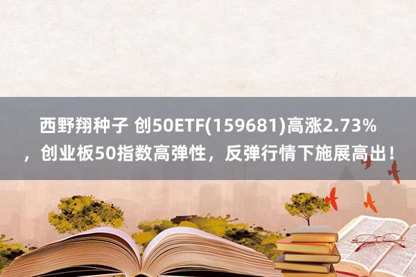 西野翔种子 创50ETF(159681)高涨2.73%，创业板50指数高弹性，反弹行情下施展高出！