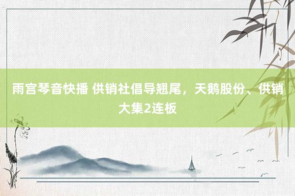雨宫琴音快播 供销社倡导翘尾，天鹅股份、供销大集2连板