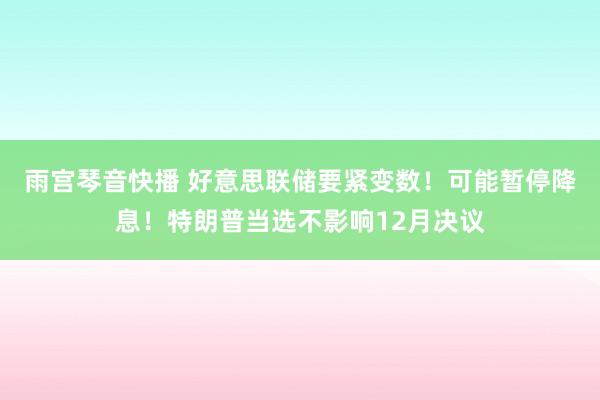 雨宫琴音快播 好意思联储要紧变数！可能暂停降息！特朗普当选不影响12月决议