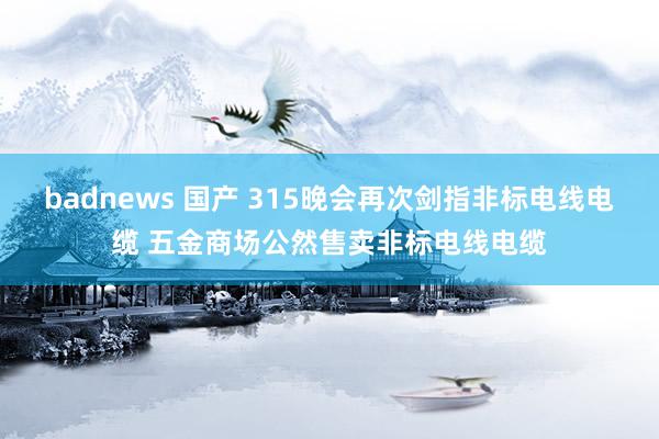 badnews 国产 315晚会再次剑指非标电线电缆 五金商场公然售卖非标电线电缆