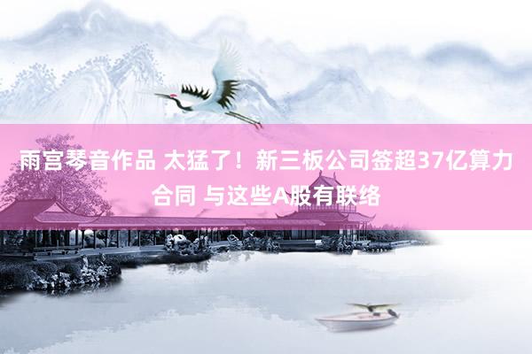 雨宫琴音作品 太猛了！新三板公司签超37亿算力合同 与这些A股有联络