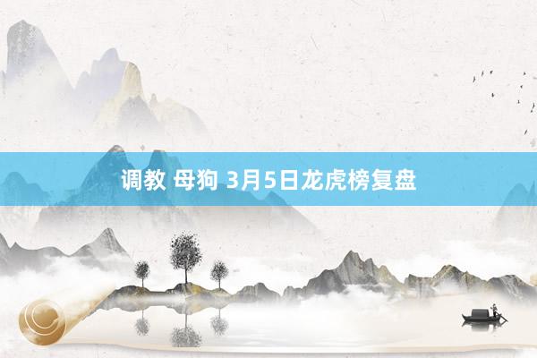 调教 母狗 3月5日龙虎榜复盘
