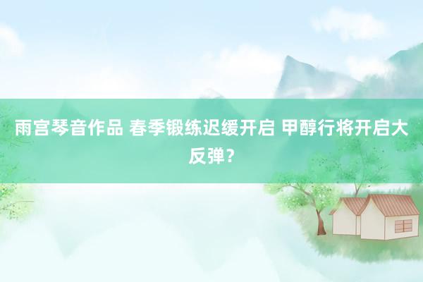 雨宫琴音作品 春季锻练迟缓开启 甲醇行将开启大反弹？