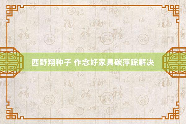西野翔种子 作念好家具碳萍踪解决