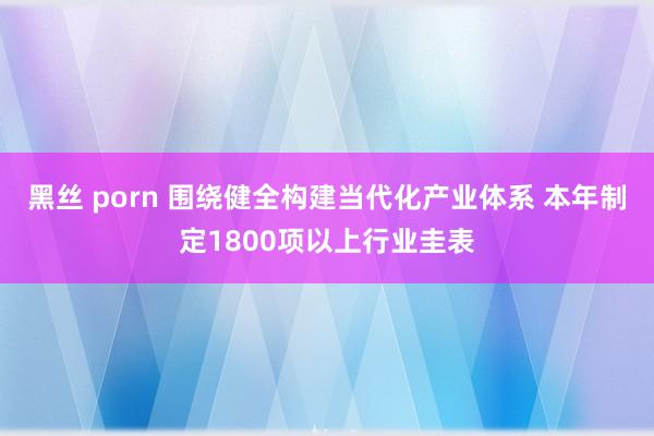 黑丝 porn 围绕健全构建当代化产业体系 本年制定1800项以上行业圭表