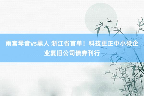 雨宫琴音vs黑人 浙江省首单！科技更正中小微企业复旧公司债券刊行