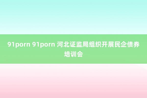 91porn 91porn 河北证监局组织开展民企债券培训会
