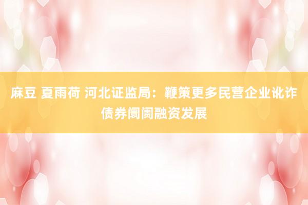 麻豆 夏雨荷 河北证监局：鞭策更多民营企业讹诈债券阛阓融资发展